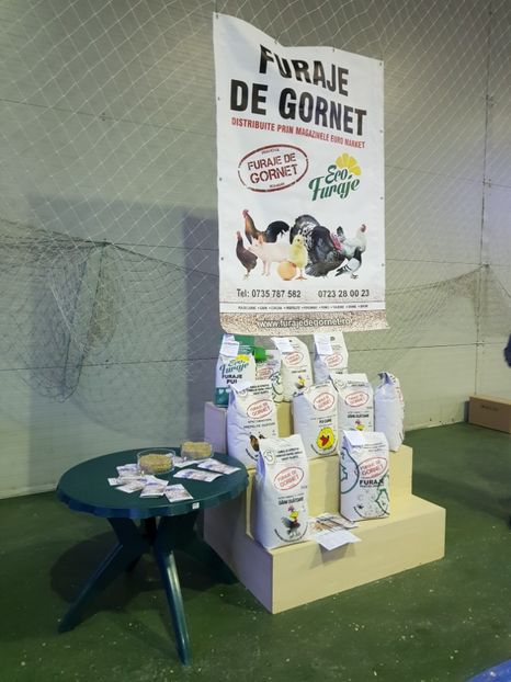  - u EXPO PASARI PORUMBEI SI ANIMALUTE DE CASA Plesuva Comarnic Ian 2019