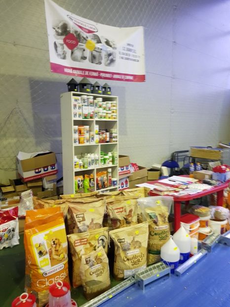  - u EXPO PASARI PORUMBEI SI ANIMALUTE DE CASA Plesuva Comarnic Ian 2019