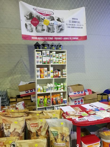  - u EXPO PASARI PORUMBEI SI ANIMALUTE DE CASA Plesuva Comarnic Ian 2019