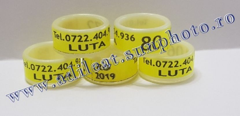 TextArt_190122214634 - 1-A-INELE PERSONALIZATE 2019