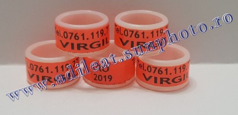 TextArt_190122214624 - 1-A-INELE PERSONALIZATE 2019