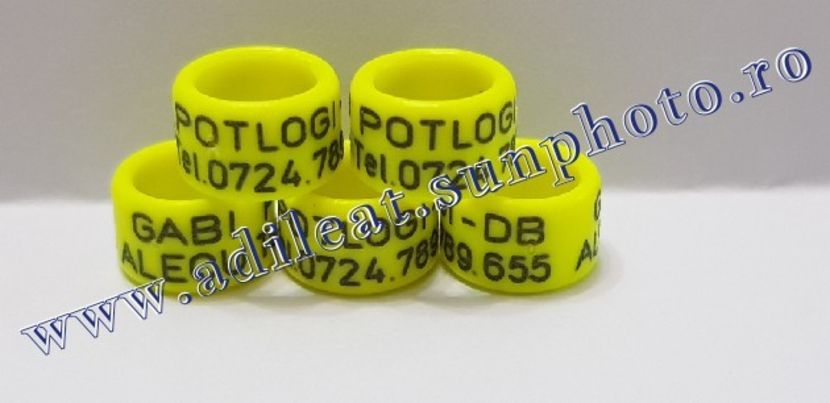 TextArt_190122214544 - 1-A-INELE PERSONALIZATE 2019