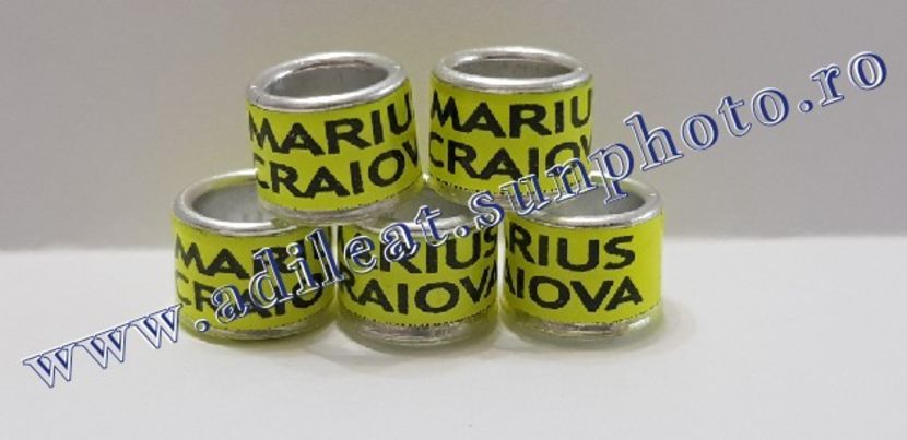 TextArt_190122214603 - 1-A-INELE PERSONALIZATE 2019