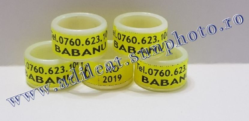 TextArt_190122214612 - 1-A-INELE PERSONALIZATE 2019