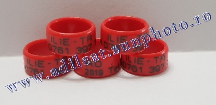 TextArt_190122214518 - 1-A-INELE PERSONALIZATE 2019