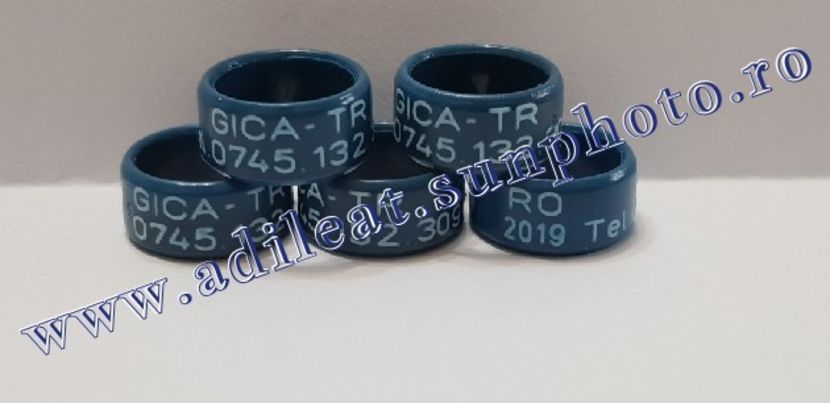 TextArt_190122214532 - 1-A-INELE PERSONALIZATE 2019