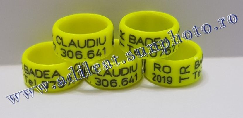 TextArt_190122214455 - 1-A-INELE PERSONALIZATE 2019