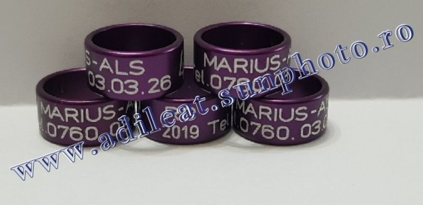 TextArt_190122214407 - 1-A-INELE PERSONALIZATE 2019