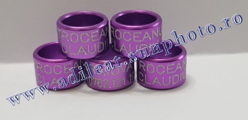 TextArt_190122214319 - 1-A-INELE PERSONALIZATE 2019