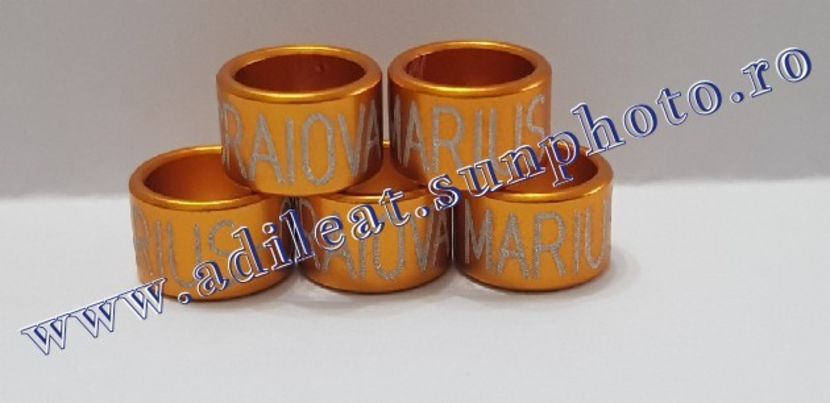 TextArt_190122214328 - 1-A-INELE PERSONALIZATE 2019