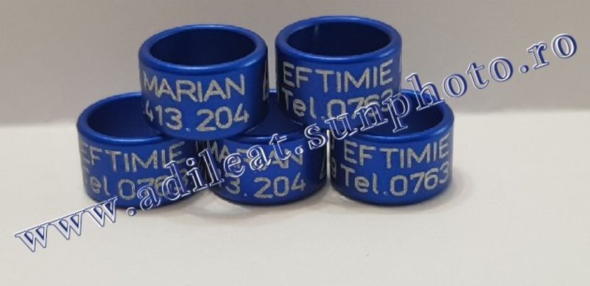 TextArt_190122214339 - 1-A-INELE PERSONALIZATE 2019