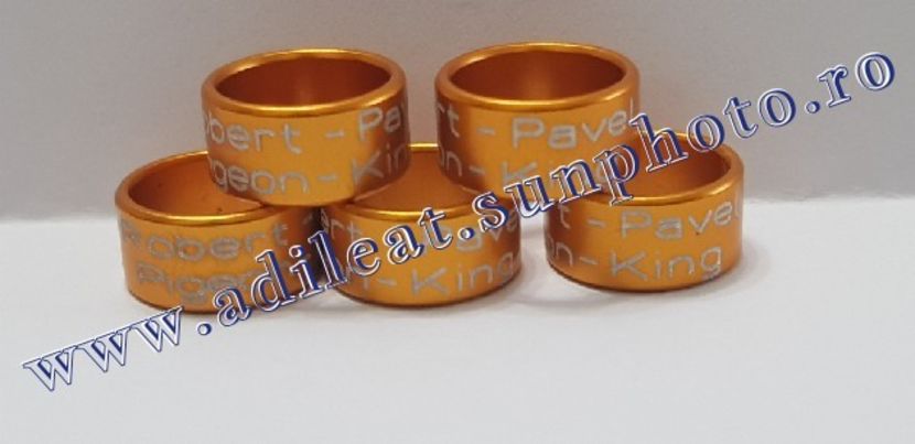 TextArt_190122214353 - 1-A-INELE PERSONALIZATE 2019