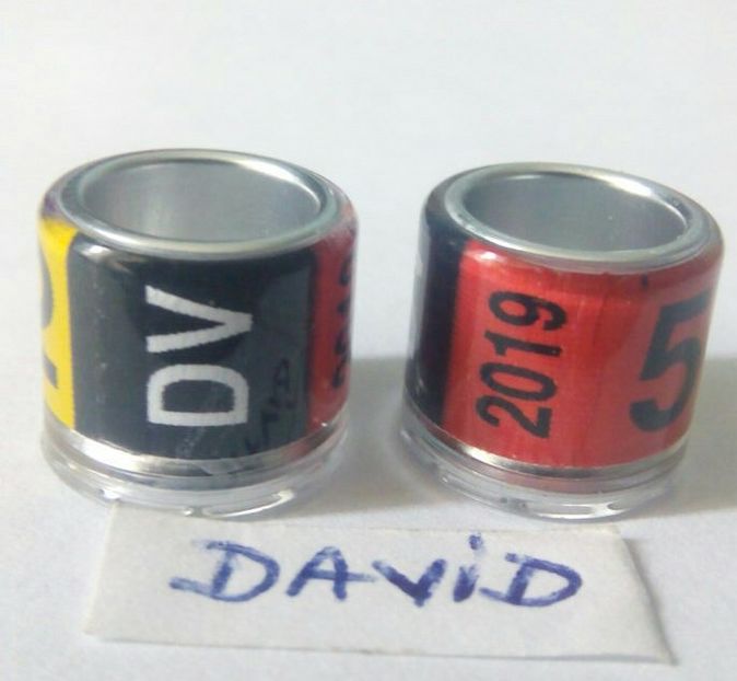 2019-DV-8mm fara talon....-1 leu - Inele porumbei 2019 de vanzare