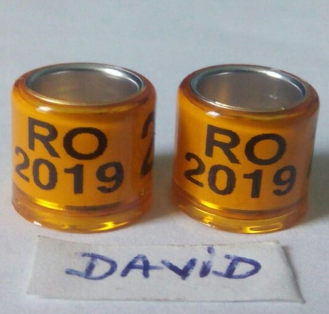 2019-portocaliu 8mm....-1 leu - Inele porumbei 2019 de vanzare