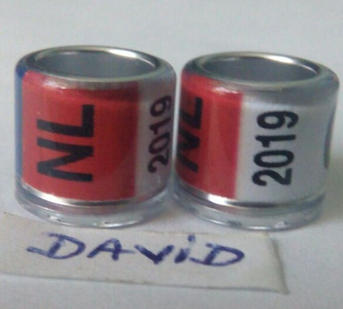 2019-NL-8mm fara talon....-1 leu - Inele porumbei 2019 de vanzare