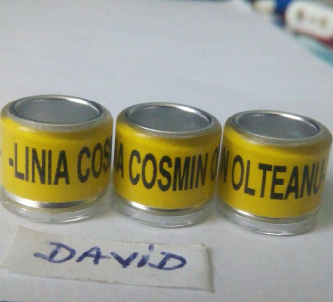 PERS-COSMIN OLTEANU....-1 leu - 9 Inele personalizate