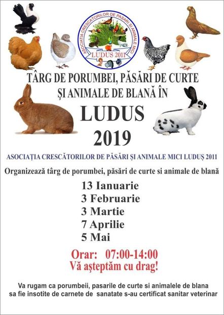  - TARGURI 2019 in Ludus