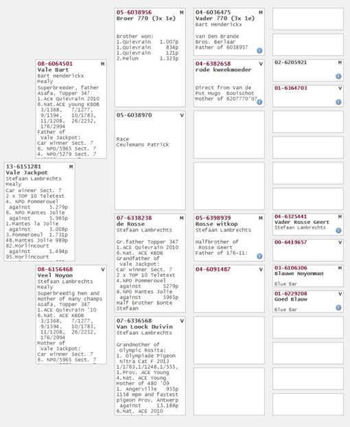 B13-6151281_vale jackpot pedigree - IHUS-18-149942