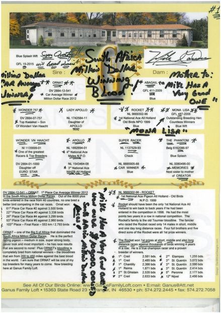 AU15-GFL-15-Million-Dollar-Fifteen-text - IHUS-18-149942