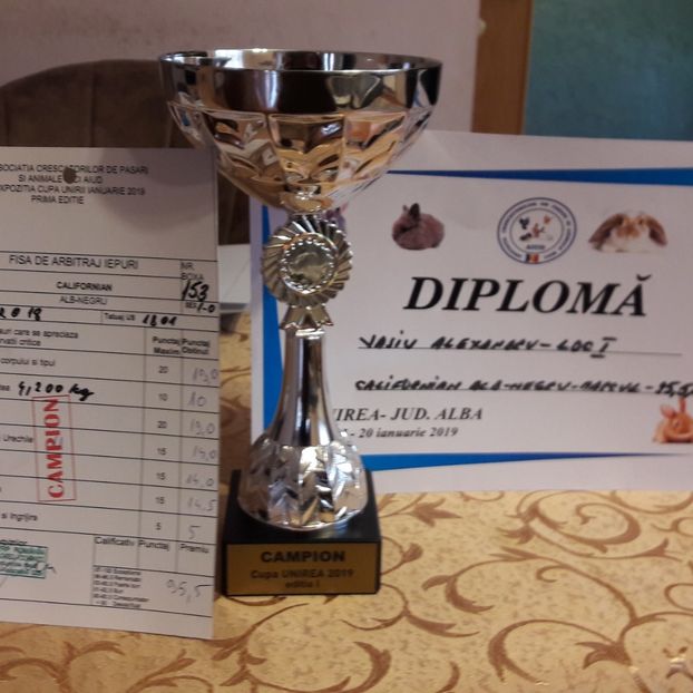  - Expo zonala Cupa Unirii 2019