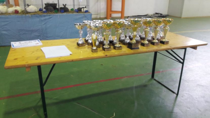  - Expo zonala Cupa Unirii 2019