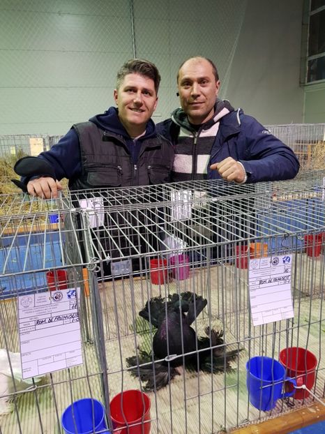  - u EXPO PASARI PORUMBEI SI ANIMALUTE DE CASA Plesuva Comarnic Ian 2019