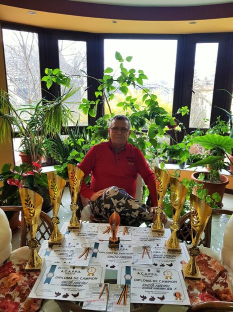 26 (2) - u EXPO PASARI PORUMBEI SI ANIMALUTE DE CASA Plesuva Comarnic Ian 2019