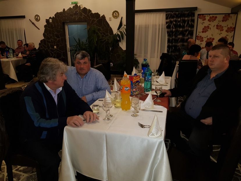  - u EXPO PASARI PORUMBEI SI ANIMALUTE DE CASA Plesuva Comarnic Ian 2019