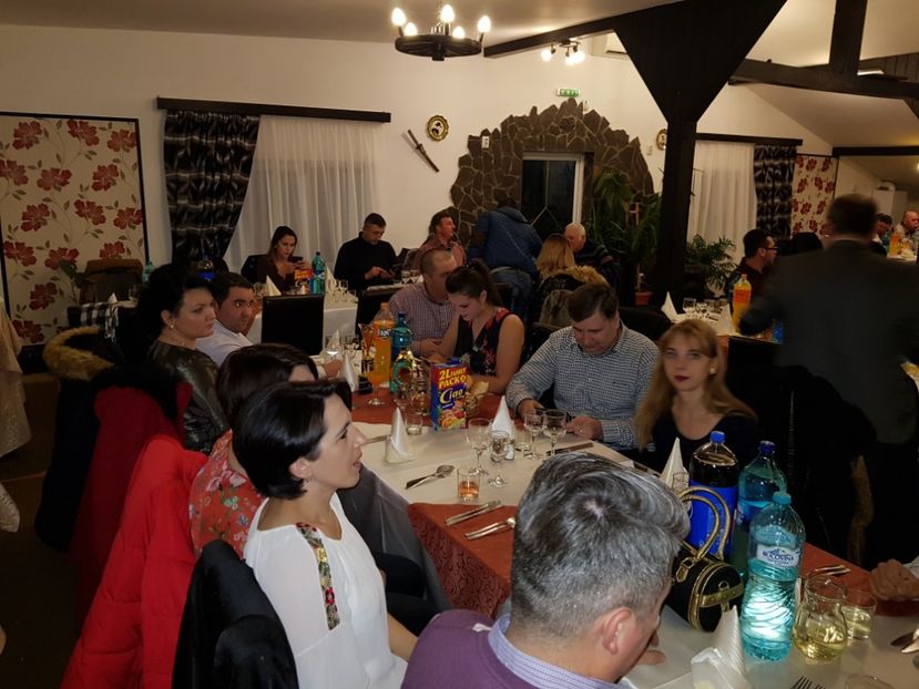  - u EXPO PASARI PORUMBEI SI ANIMALUTE DE CASA Plesuva Comarnic Ian 2019