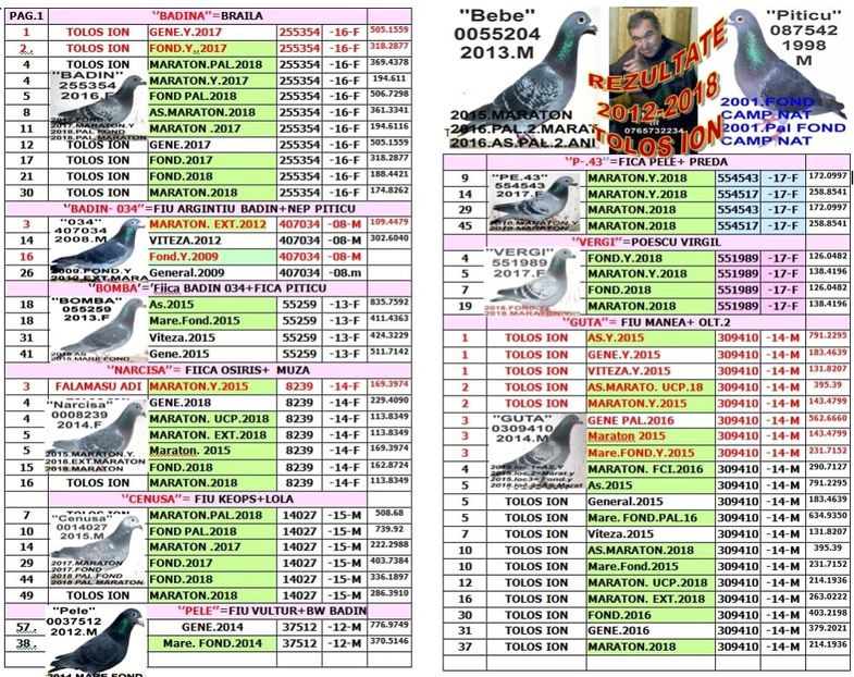 Z.TOL 1 - TOP CLASARI 2018