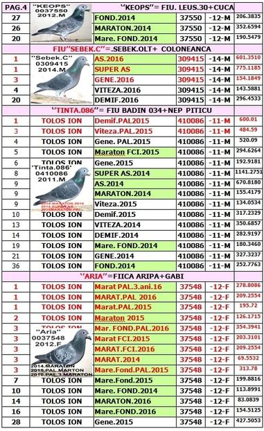 Z4 - TOP CLASARI 2018