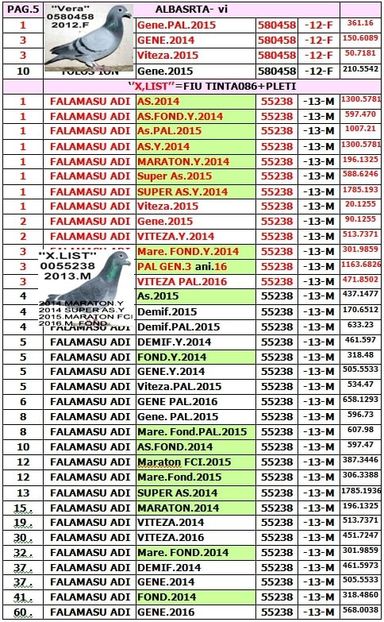 Z5 - TOP CLASARI 2018