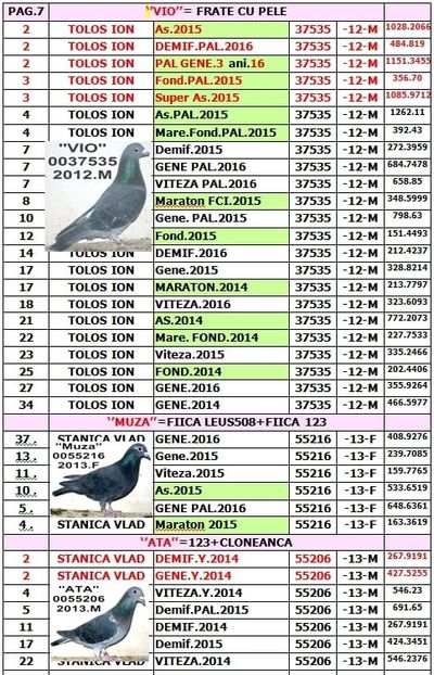 Z7 - TOP CLASARI 2018