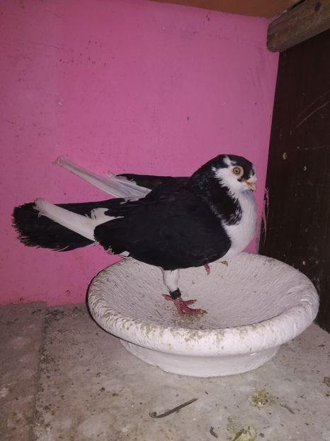  - Ce detin in prezent