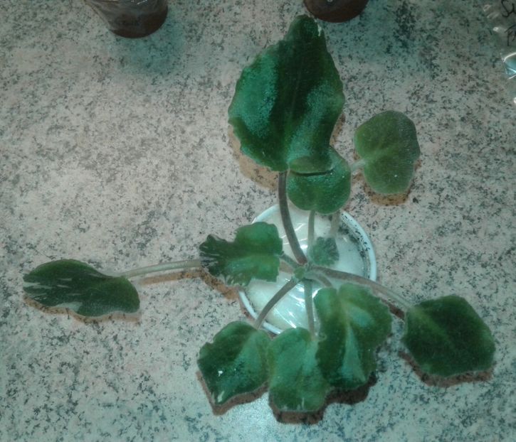 12.07.2018 - Cherokee Trail