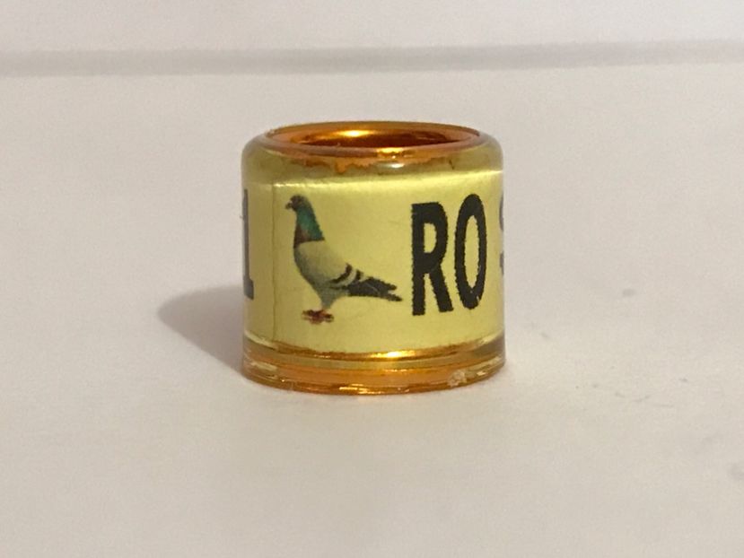  - 00 Inele Speciale Personalizate de porumbei voiajori