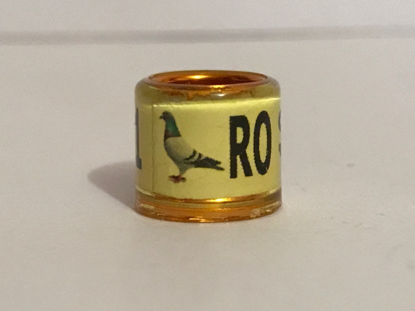  - 00 Inele Speciale Personalizate de porumbei voiajori