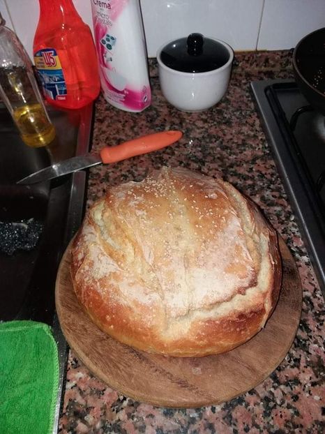  - Paine de casa