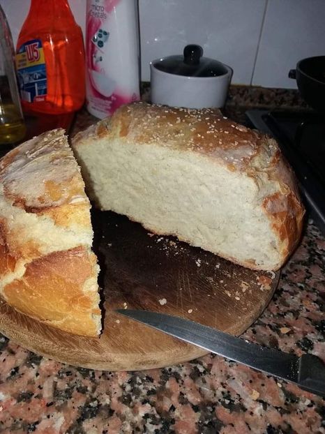  - Paine de casa