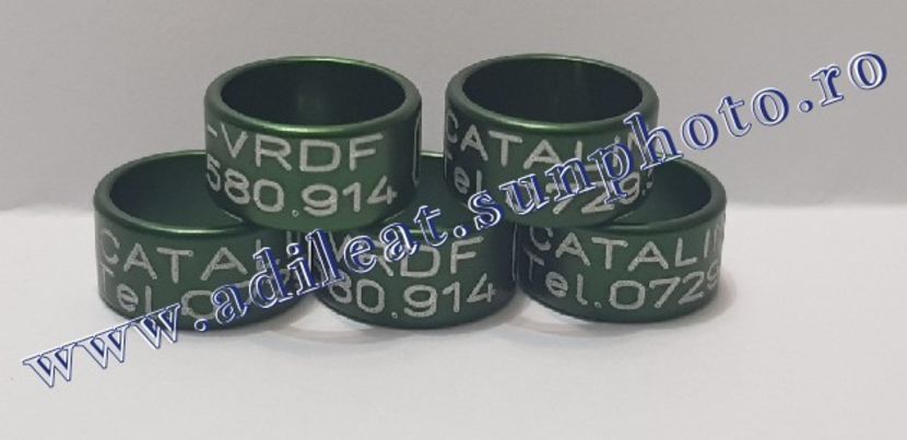 TextArt_190130215904 - 1-A-INELE PERSONALIZATE 2019