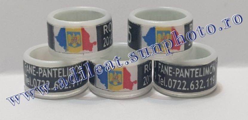 TextArt_190130215506 - 1-A-INELE PERSONALIZATE 2019