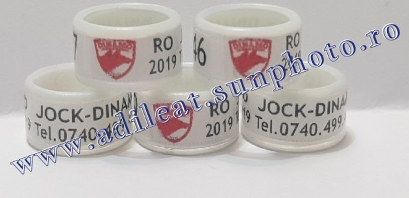 TextArt_190130215540 - 1-A-INELE PERSONALIZATE 2019