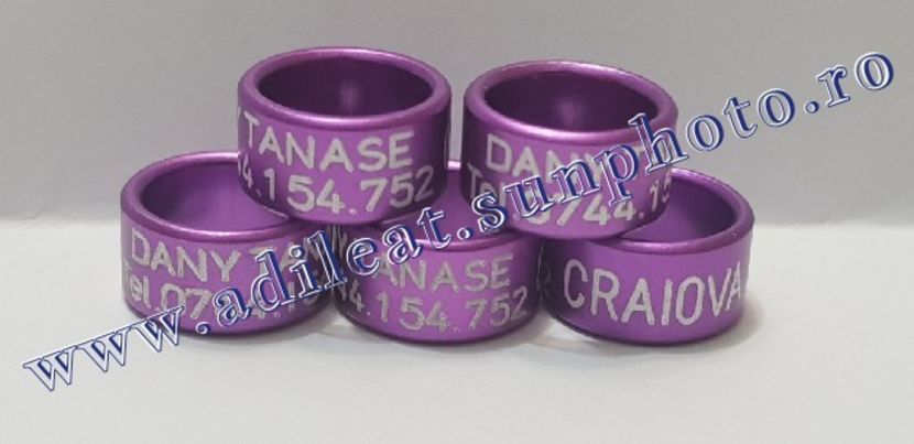 TextArt_190130215922 - 1-A-INELE PERSONALIZATE 2019