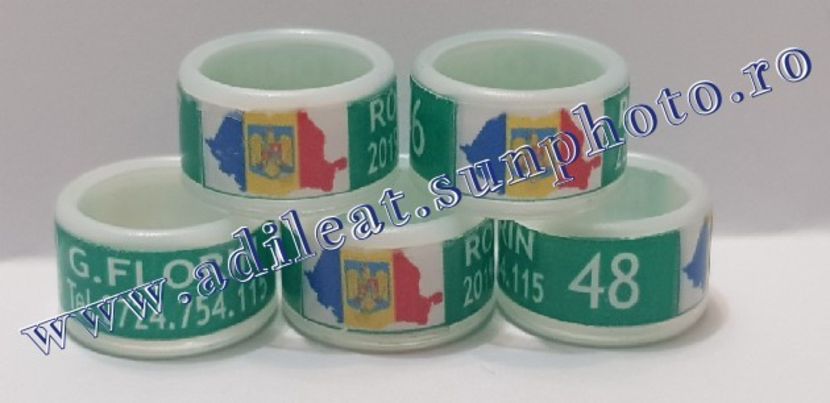 TextArt_190130215527 - 1-A-INELE PERSONALIZATE 2019