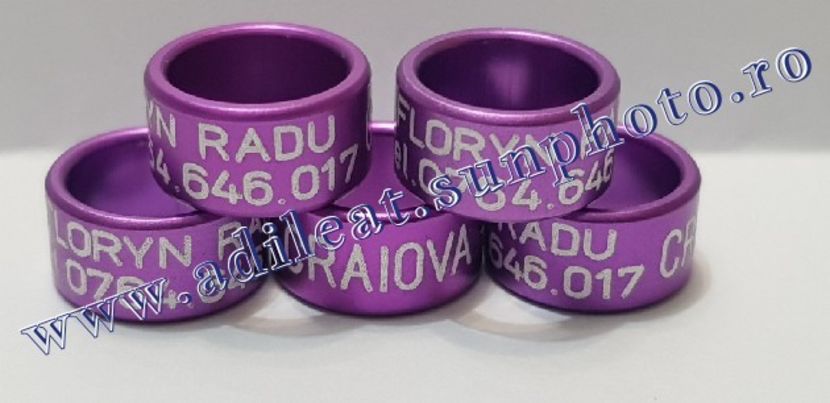 TextArt_190130215950 - 1-A-INELE PERSONALIZATE 2019