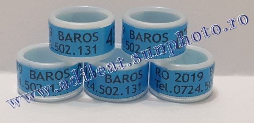 TextArt_190130215551 - 1-A-INELE PERSONALIZATE 2019