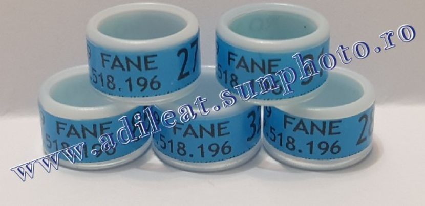 TextArt_190130215614 - 1-A-INELE PERSONALIZATE 2019