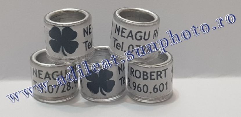 TextArt_190130215834 - 1-A-INELE PERSONALIZATE 2019