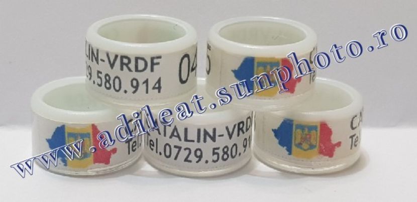 TextArt_190130215455 - 1-A-INELE PERSONALIZATE 2019