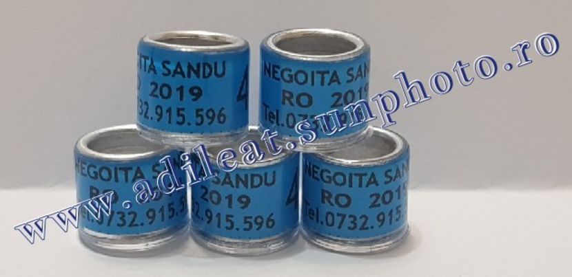 TextArt_190130215843 - 1-A-INELE PERSONALIZATE 2019